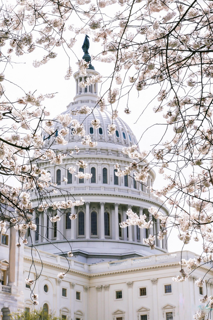 U.S. Capitol building